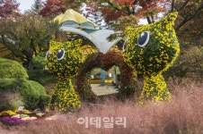 소원이루어 주는 천사의 국화 앞에서 소원빌어요