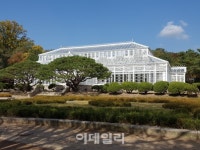 우리나라 최초 서양식 온실 창경궁 대온실 10일 재개방