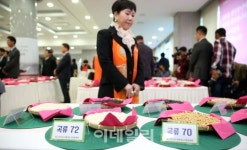 [포토]최고의 친환경 곡류를 찾아라