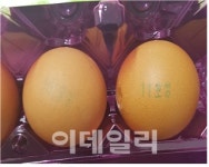 유통중인 계란 4종류서 살충제 발견..전량 회수·폐기