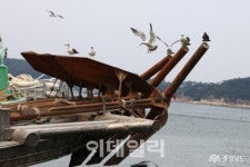 4~5월 충남 서산·태안 일원서 낙지 포획 전면 금지