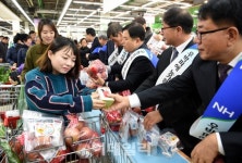 [포토] 우박 맞은 사과 저렴하게 구입하세요