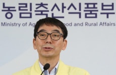 영암 육용오리 농장서 AI 확인..다솔 계열사 이동중지