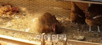 [강신우의 닥치Go]해보니 잘했구나 ‘베스트3’