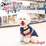 황금개띠해, 어서오시개...스타필드, 새해 이벤트 진행