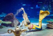 [포토] 알라딘과 인어공주 겨울방학맞아 론칭