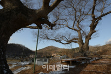 [이야기 있는 길]③한적함을 친구삼아 걷기좋은길