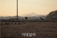 [이야기 있는 길]③한적함을 친구삼아 걷기좋은길