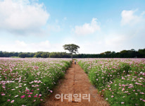 [경마이야기]말발굽 따라 가볼 만한 제주여행지는 어디?