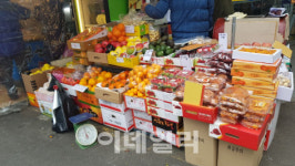 폭염 지나니 한파…농수산물 가격 급등에 상인들 한숨