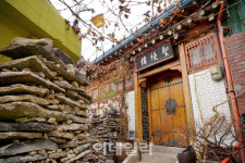 [박물관여행]①공룡시대부터 1987년까지 ‘빅 히스토리’