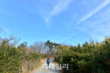 [물소리길]① 겨우내 얼었던 내천이 녹아 흐르다