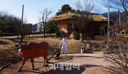 [물소리길]②물길따라 봄을 마중하다