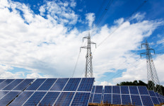 원피아 쫓아내니 태양광피아 생기나