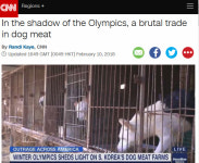 CNN 앵커 잔인한 개고기 거래… 올림픽 맞아 개식용 다시 관심