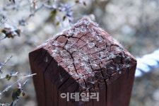 [지하철여행②] 대전 하루 여행 완벽 코스, 나만 따라와~