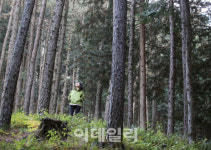 산림청, ‘여행가기 좋은 우수 산촌생태마을’ 화보집 발간