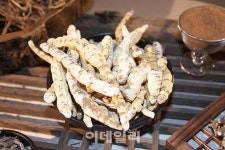 내츄럴엔도텍 백수오, 폐경기·유방암수술 후 안면홍조에 도움 논문발표