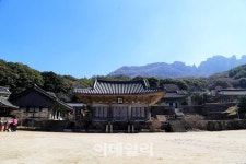 [여행] 아지랑이 일렁이는 땅끝에서 봄을 마중하다