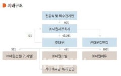[마켓인]LK투자파트너스, 대원 지배구조 개편 ‘잰걸음’