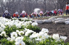 [포토]공원에 찾아온 봄
