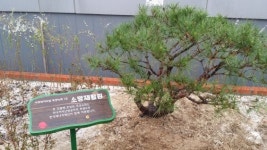 지역난방공사, 중증장애인 재활원에 소망나무 식목