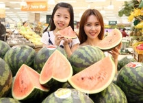 [포토]이마트, 경남 함안 봄철 햇수박 선보여