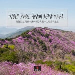 강화도 고려산, 진달래 워크샵 떠나요.