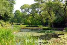 [가족과 봄을 걷다]①당신의 마음을 사로잡는 초록 숲, 포천 국립수목원