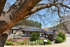 [여행팁] 싱그러운 봄향기 가득한 풍경을 걷다