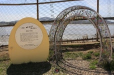 역사를 품은 평화의 길 `염하강철책길`