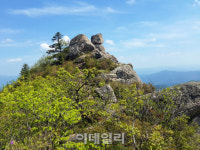 [습지여행 ①] 대한민국 람사르 습지 1호, 인제 대암산 용늪