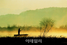 [람사르습지③] 걸어서 만나는 세계적인 생태 천국 창녕 우포늪
