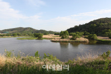 [람사르습지③] 걸어서 만나는 세계적인 생태 천국 창녕 우포늪