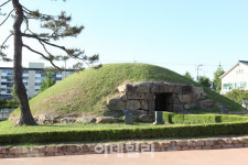 [람사르습지③] 걸어서 만나는 세계적인 생태 천국 창녕 우포늪