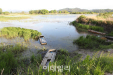 [람사르습지③] 걸어서 만나는 세계적인 생태 천국 창녕 우포늪