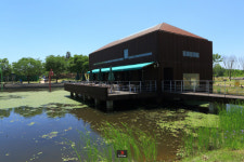 [고상환의 50춘기]⑦ 평화를 기원하는 `반구정길과 임진각평화누리`