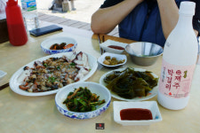 [등짐쟁이 기파리의 유랑]③ 황금의 섬에서 제주를 바라보다, 가파도 백패킹