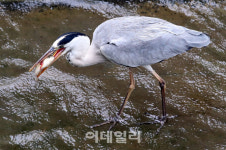 [포토]오늘 아침 식사는 걱정 없네