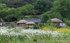 시원한 옥산천 계곡과 멋스러운 양동마을