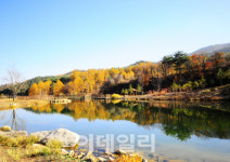 산림청, 올해 축구장 9000여개 규모 사유림 사들인다
