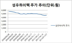 성우자동차공업주 | 자동차업황 부진에 공매도 타깃된 성우하이텍