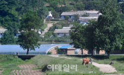 [포토]금강산 가는길에 만난 북한 마을