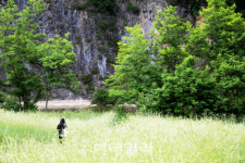 별천지민속품 | [여행] 꽃바다에 밀파도 '넘실'…눈길 머무는 곳마다 '초록바다'