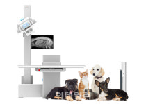 레이언스, 우리엔 인수…동물의료시장 공략