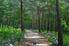 보약이 되는 가족여행, 정선에서 찾았다