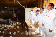 기록적인 폭염에 가축 폐사 피해 200만 마리 넘어서