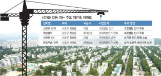 툭하면 소송…재건축 발목잡는 단지내 상가 떼고 갈까, 같이 할까