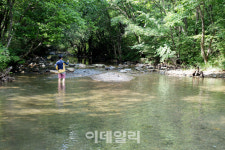 [여행] 꼭꼭 숨은 오지 계곡에 나홀로 ‘풍덩’…무릉도원이구나