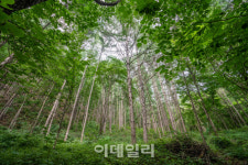 산과 바다로 아름다운 여름 정취를 느끼며 걷다